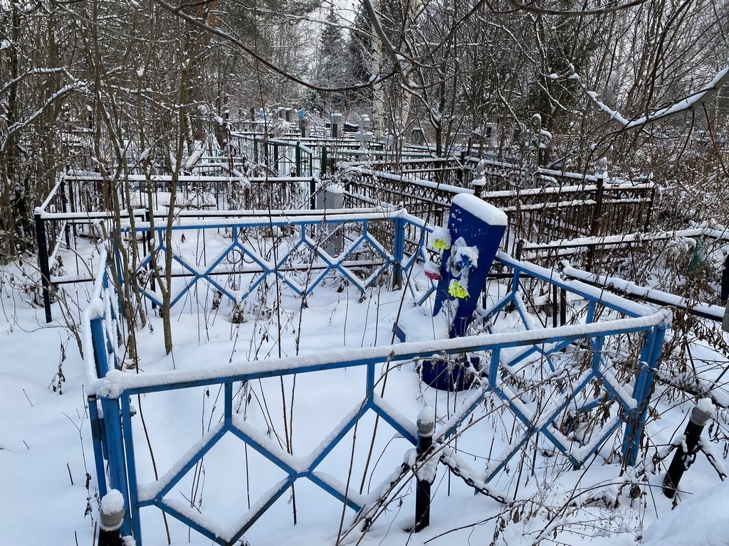 Фрол Галина Алексеевна