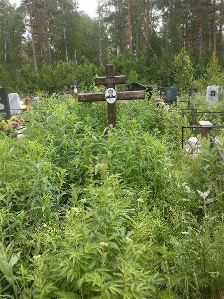 Катышев Александр Аркадьевич