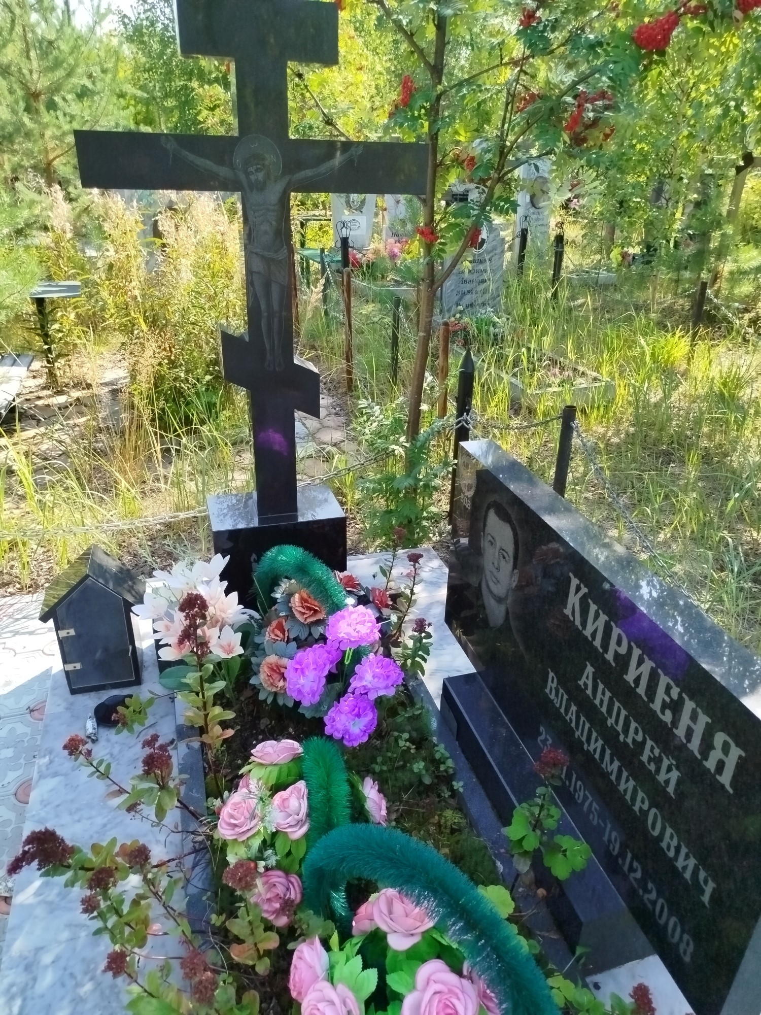 Кириеня Андрей Владимирович