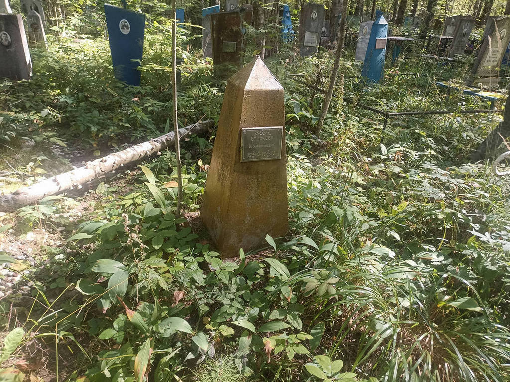 Будакова Софья Николаевна