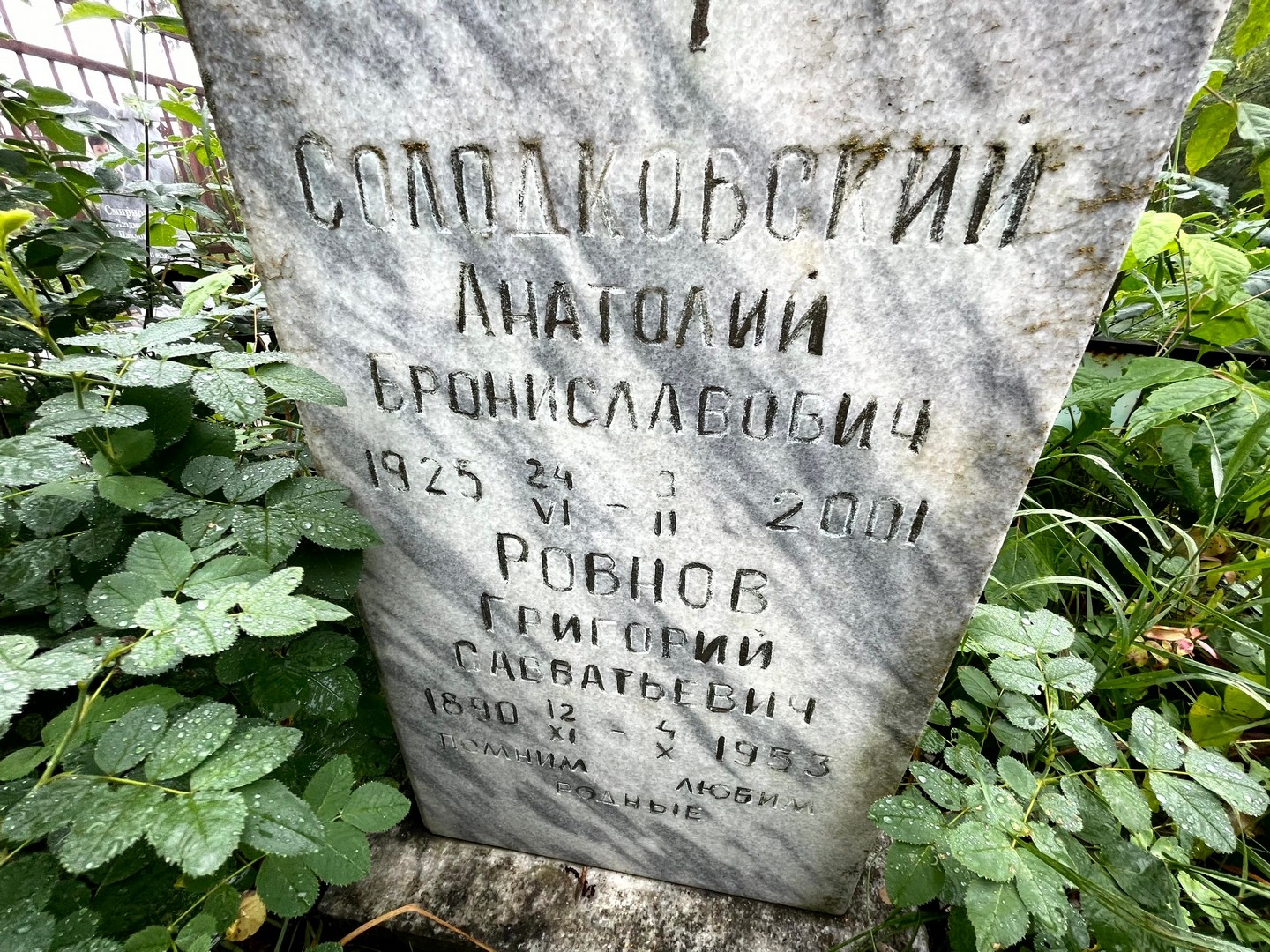 Солодковский