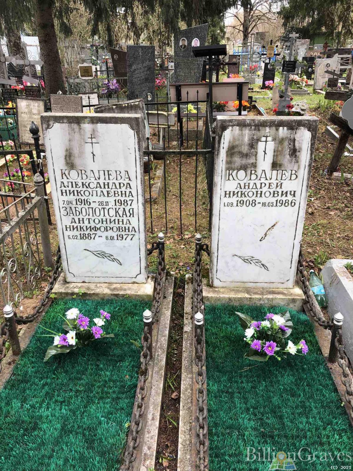 Ковалева Александра Николаевна
