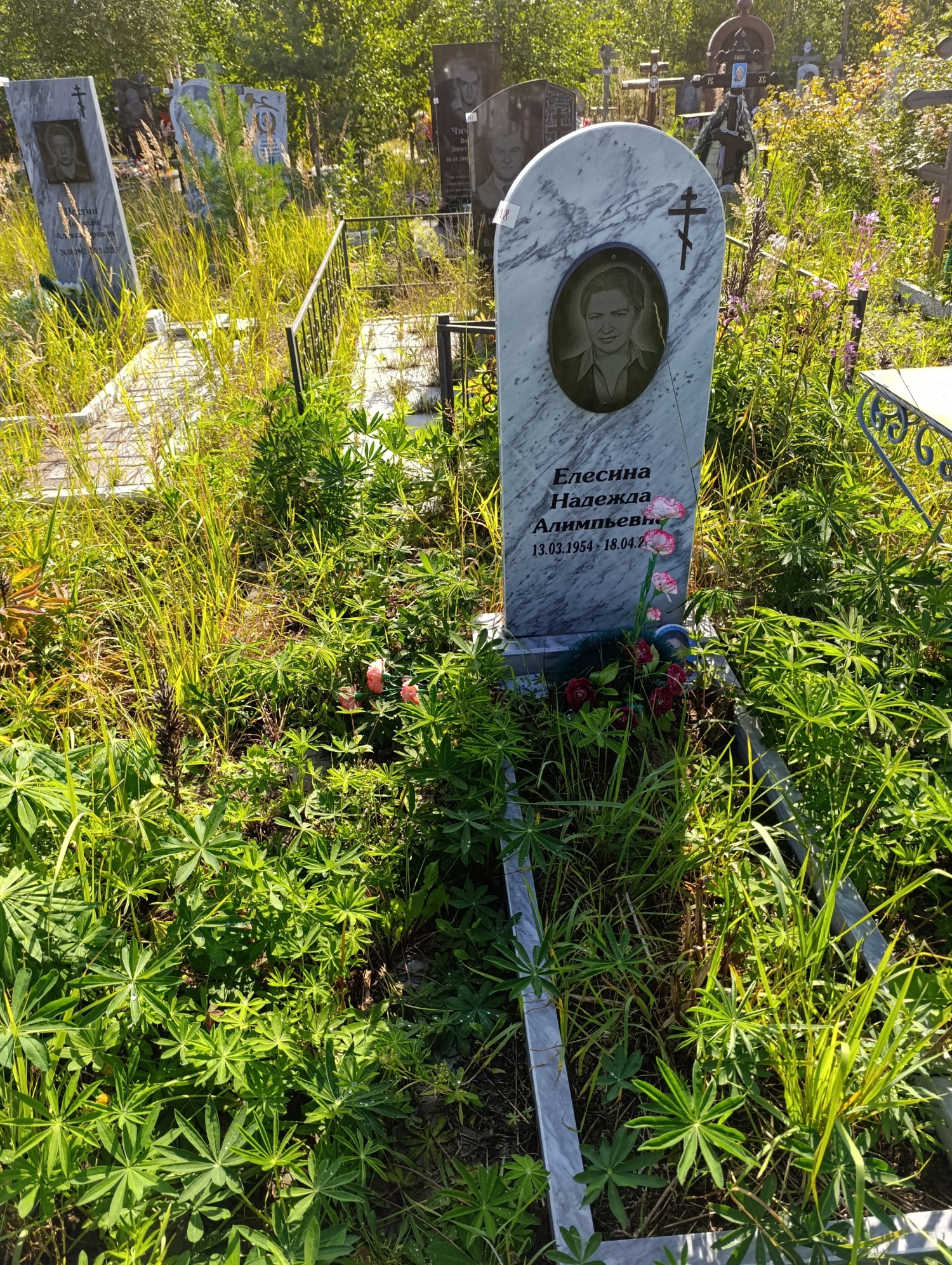 Елесина Надежда Алимпьевна