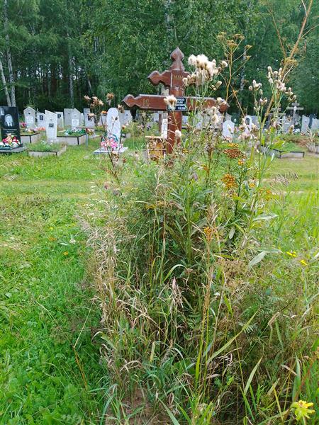 Максимов Николай Николаевич