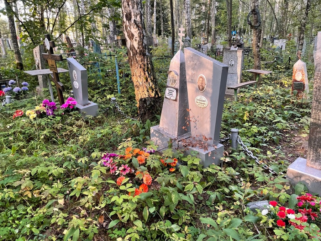 Должикова Анна Андреевна