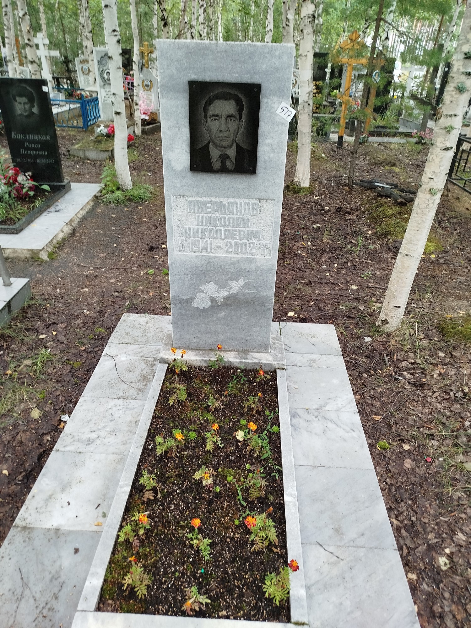 Аверьянов Николай Николаевич