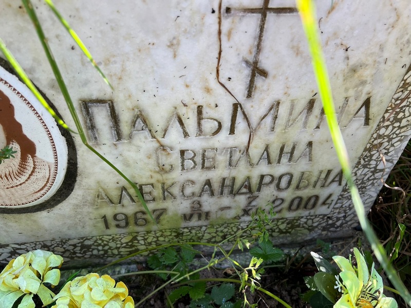 Пальмина