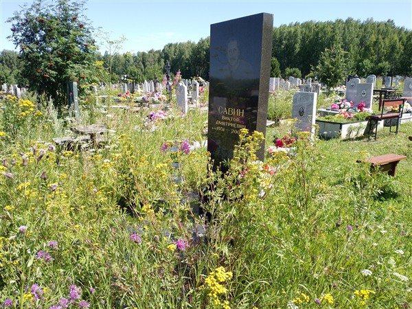 Савин Виктор Дмитриевич