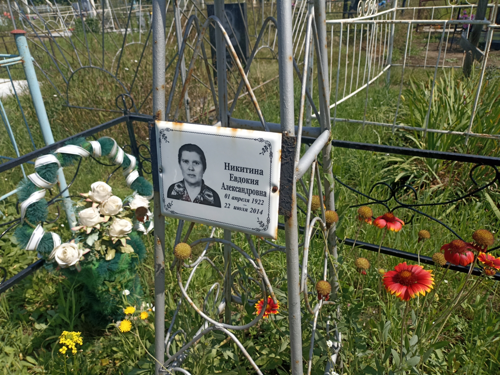 Никитина Евдокия Александровна