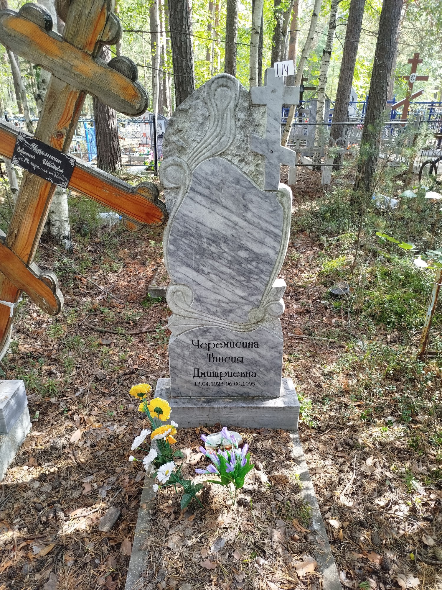 Черемисина Таисия Дмитриевна