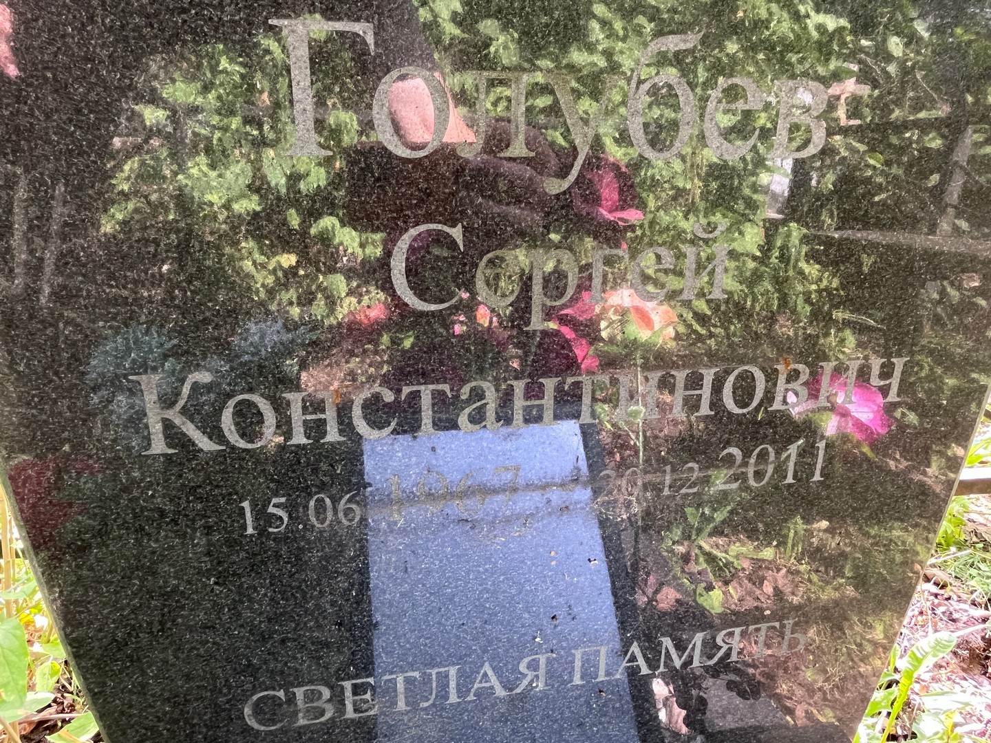 Голубев