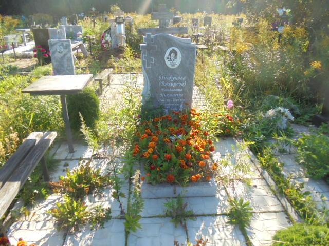 Пискунова Вяхирева Елизавета