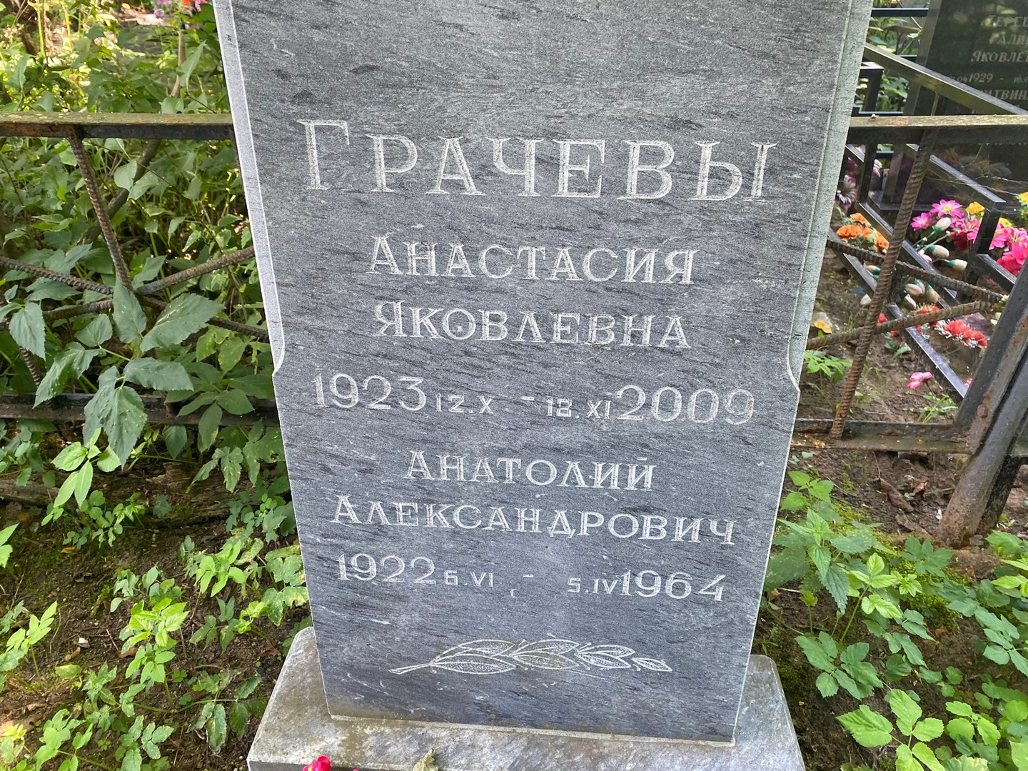 Грачева Анастасия Яковлевна