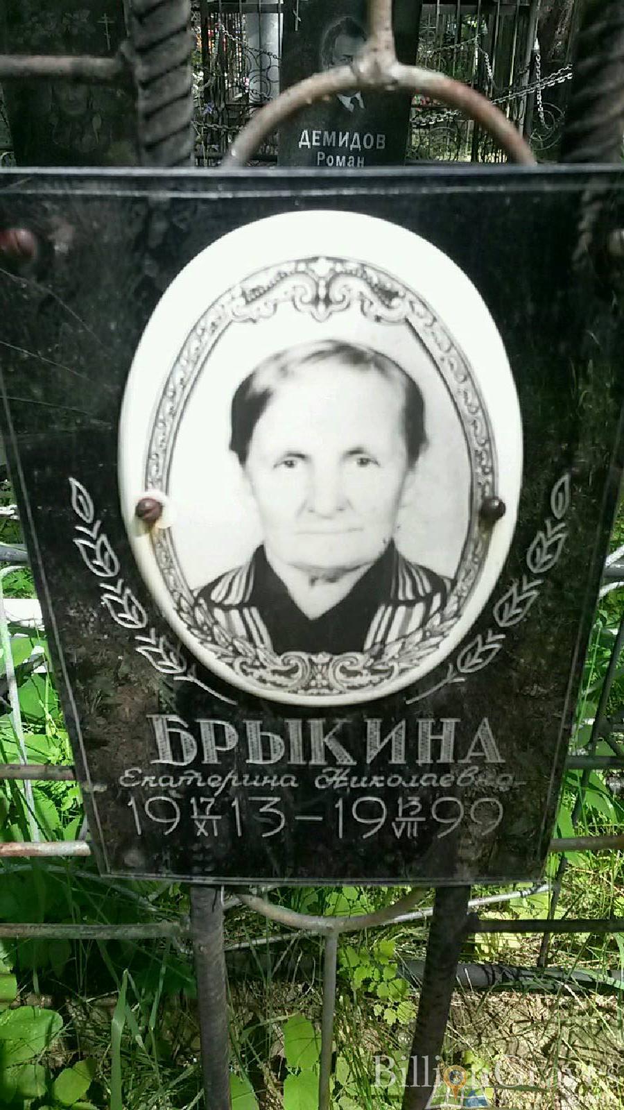 Брыкина Екатерина Николаевна