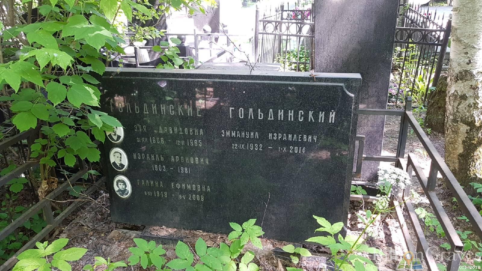 Гольдинская Этя Давидовна