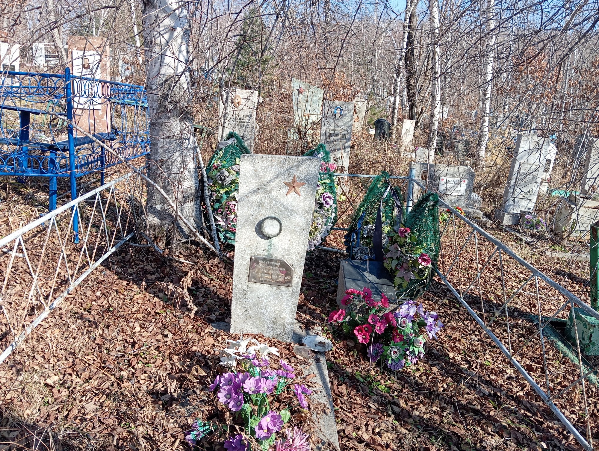 Чипколенко Константин Григорьевич