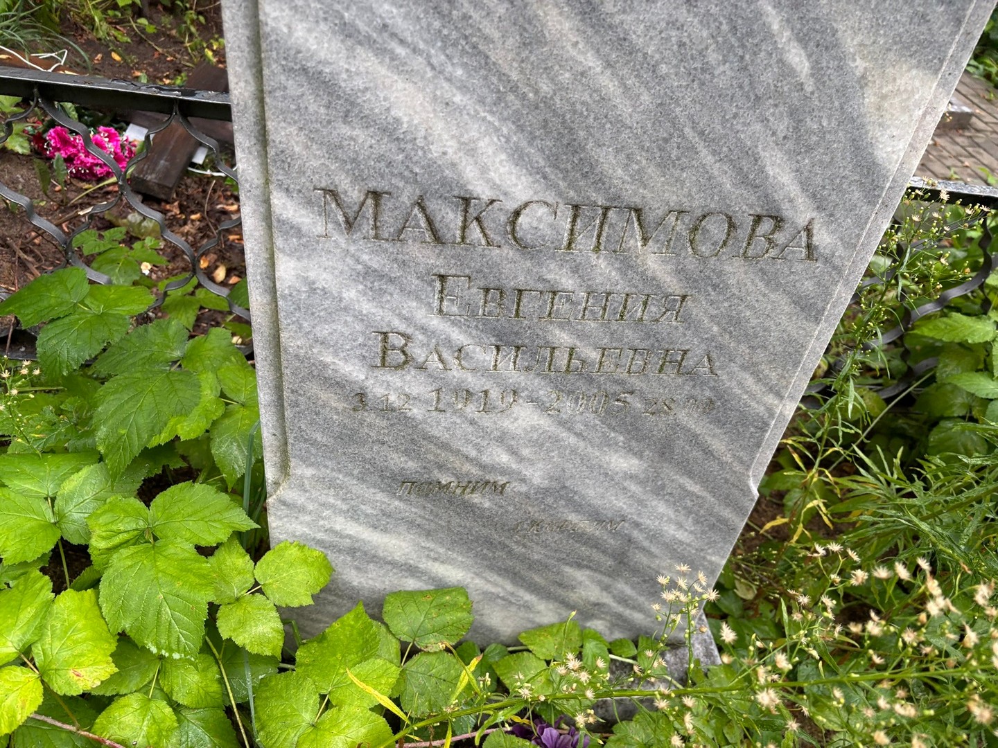 Максимова Евгения Васильевна