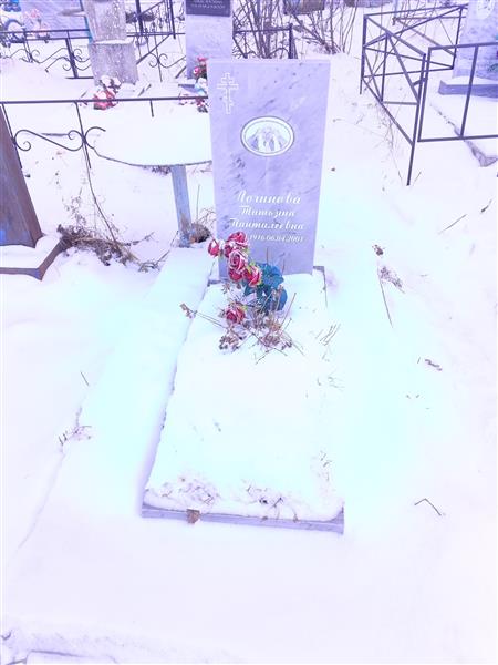 Логинова Татьяна Пантилеевна