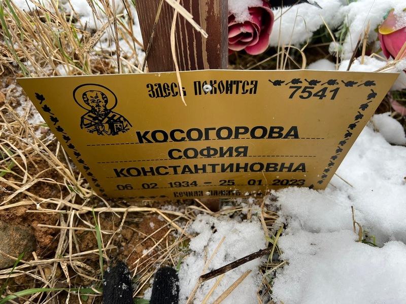 София Косогорова Константиновна