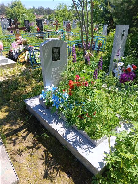 Васин Алексей Николаевич