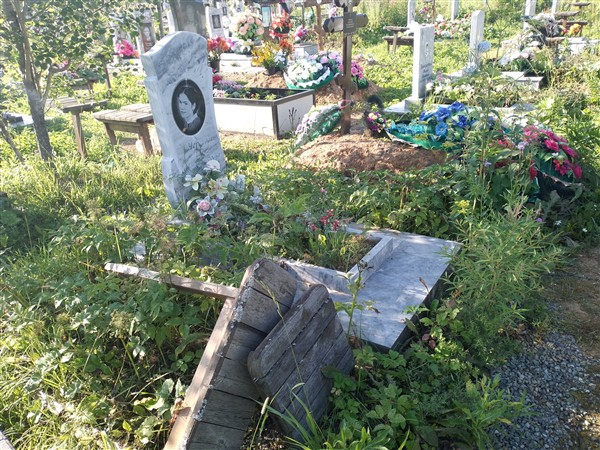 Черенева Елена Александровна