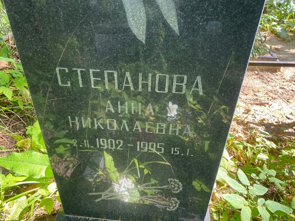 Степанова Анна Николаевна