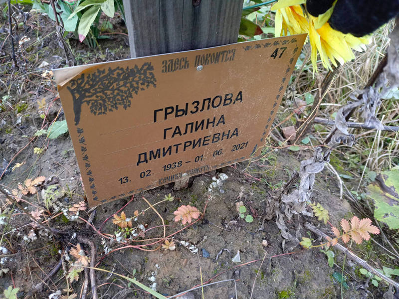 Грызлова