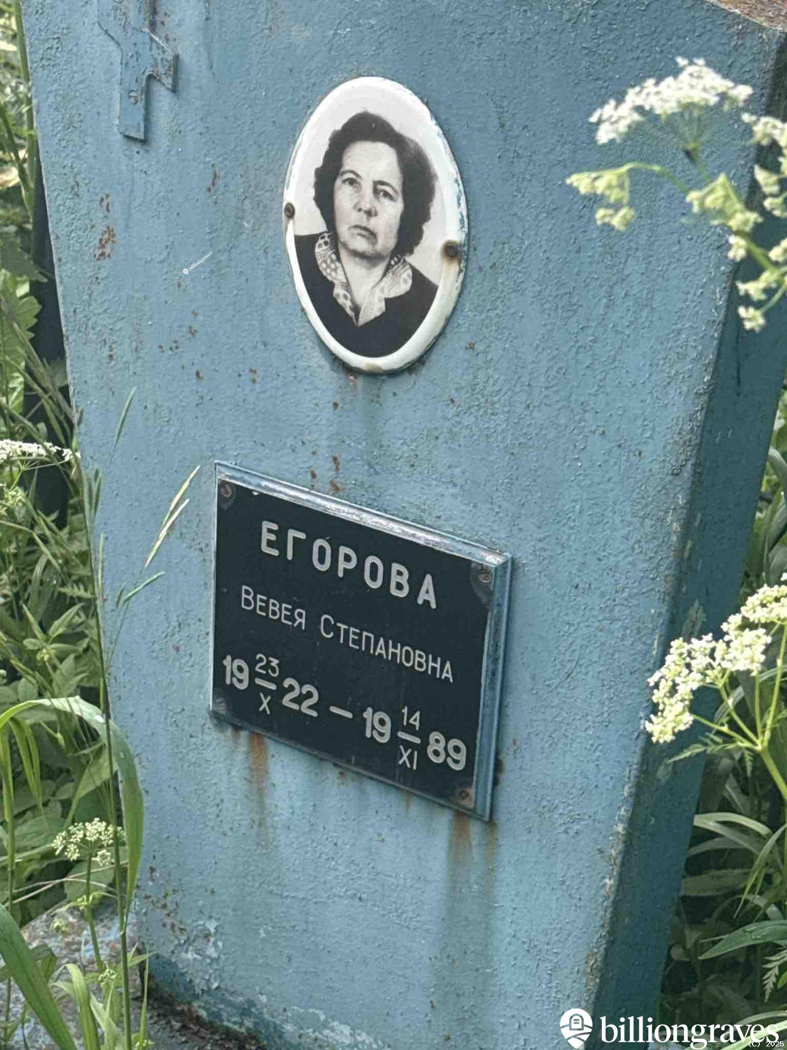 Егорова Вевея Степановна