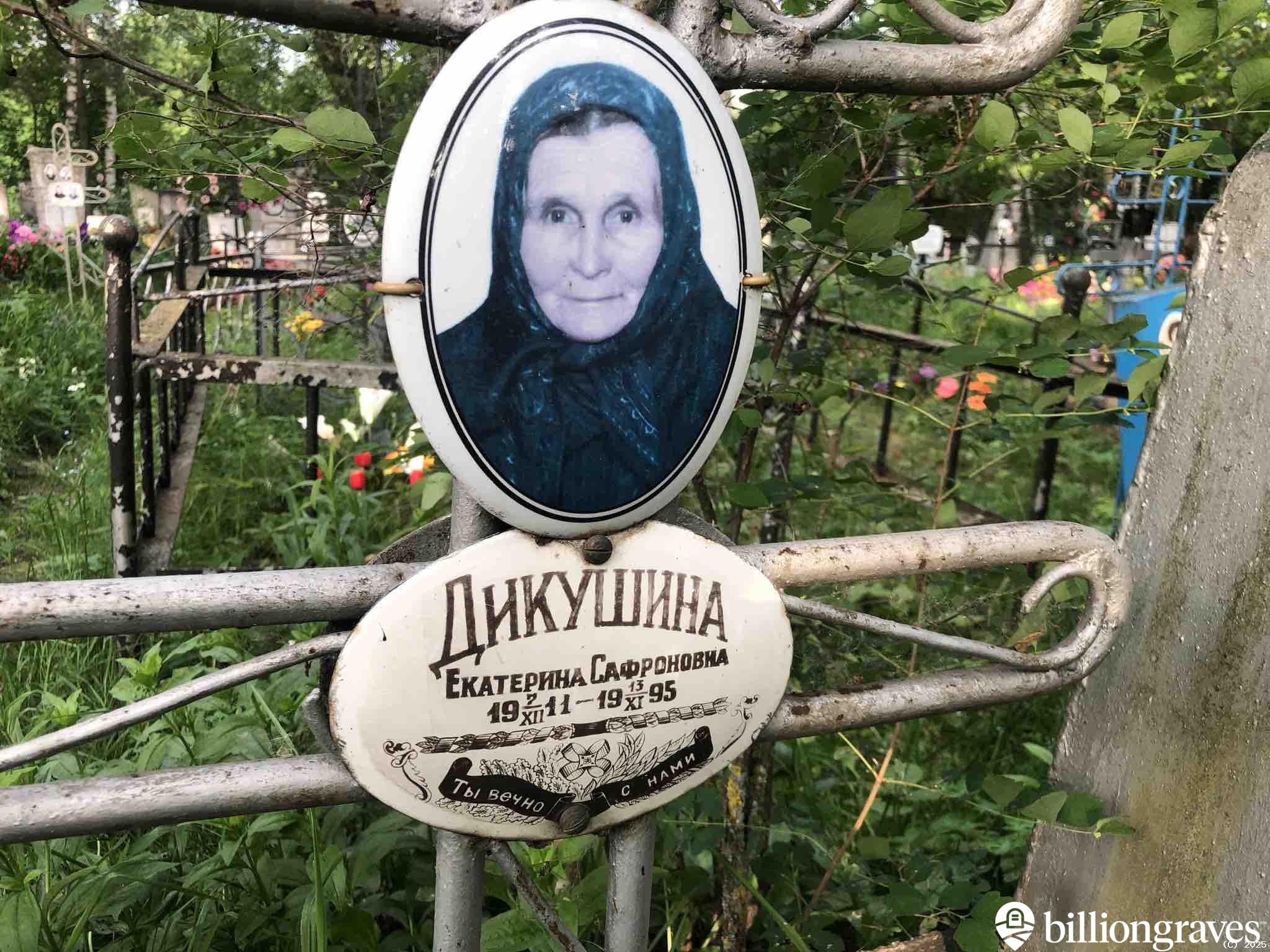 Дикушина Екатерина Сафроновна