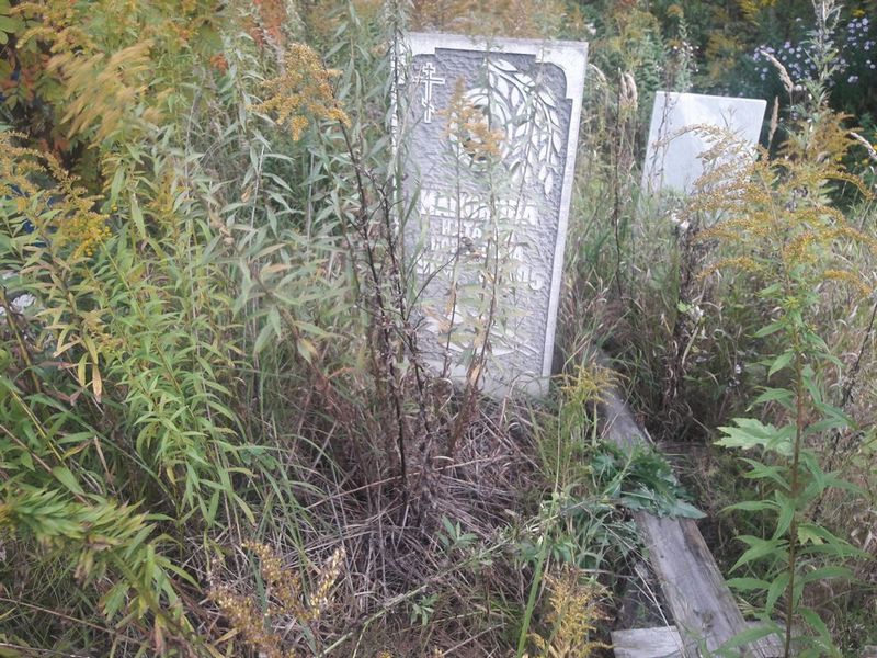 Мамонова Наталья Борисовна