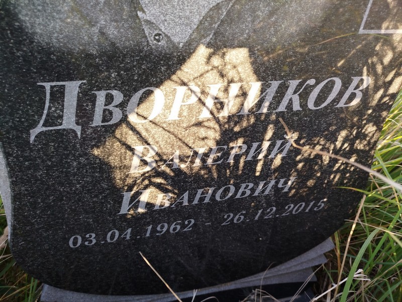 Дворников