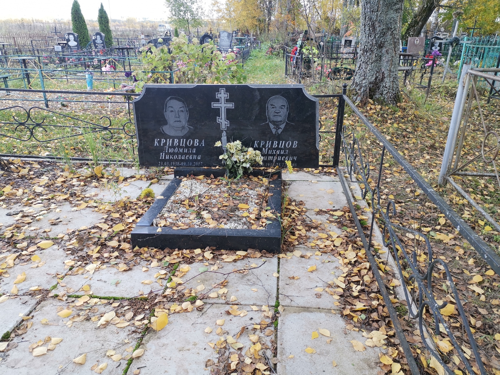 Кривцов Михаил Дмитриевич