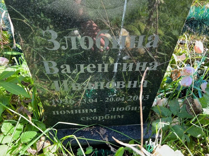 Злобина