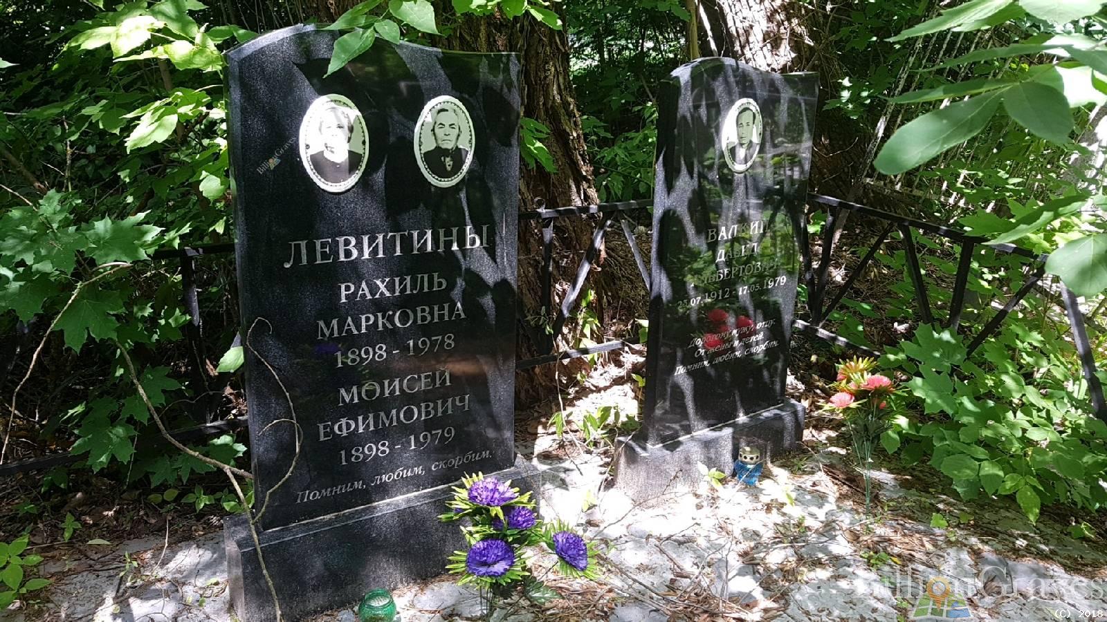 Валкин Давид Альбертович