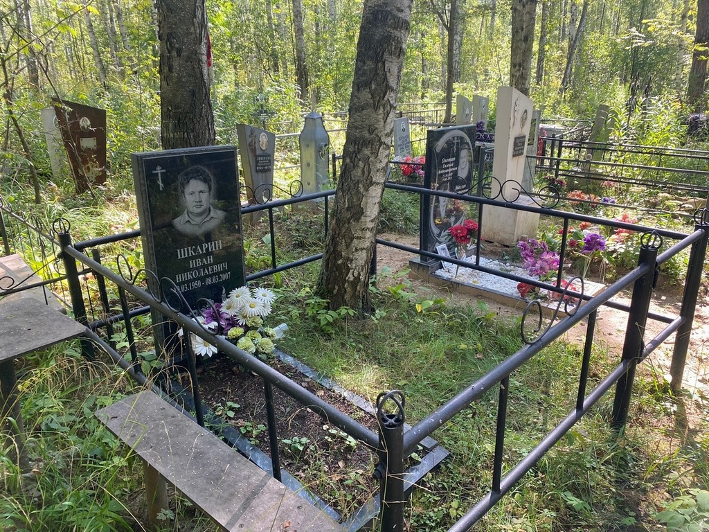 Шкарин Иван Николаевич