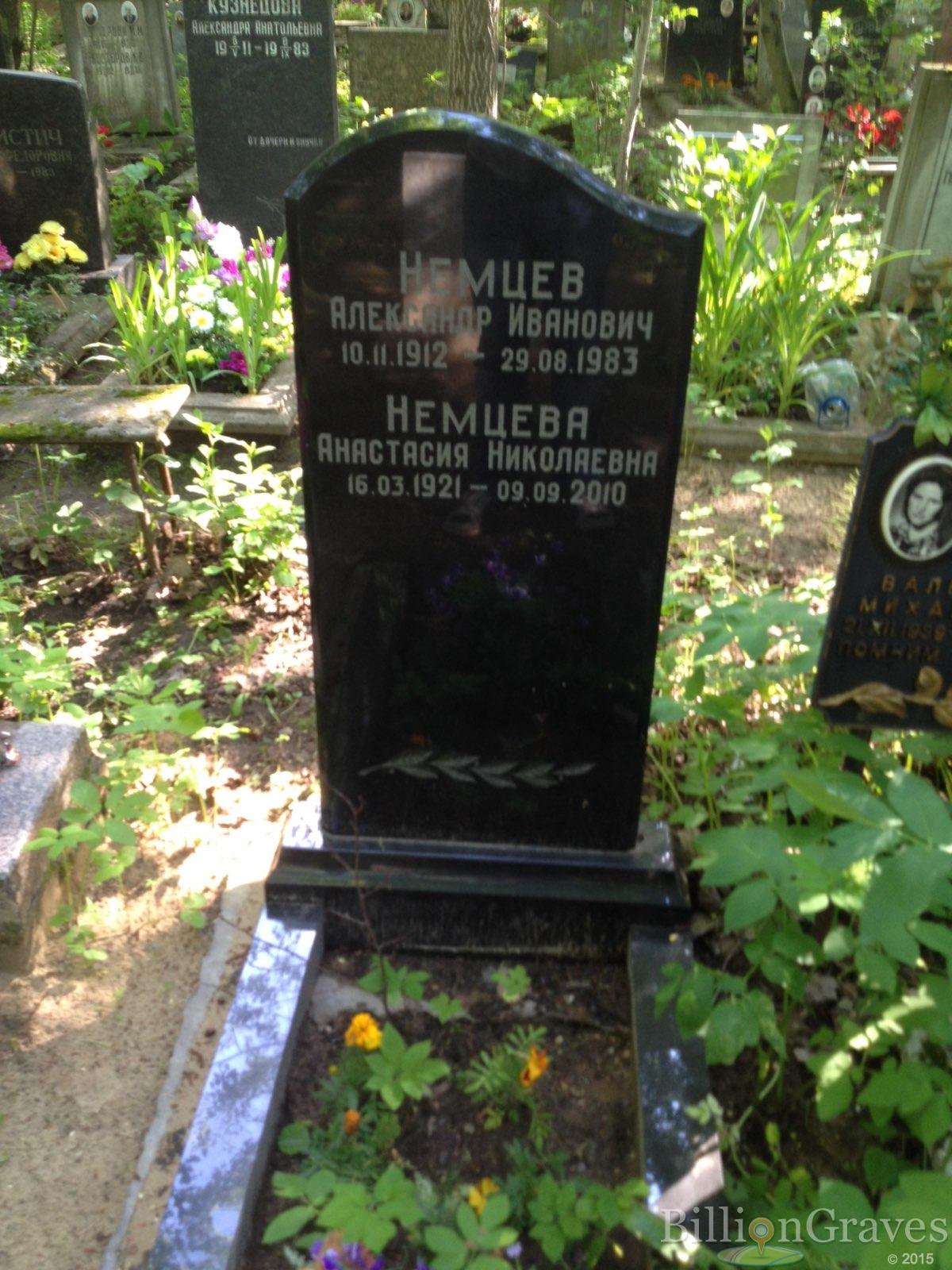 Немцева Анастасия Николаевна