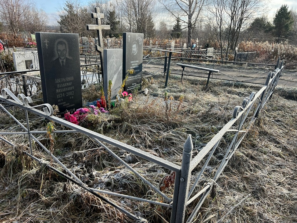 Винокуров Михаил Евгеньевич
