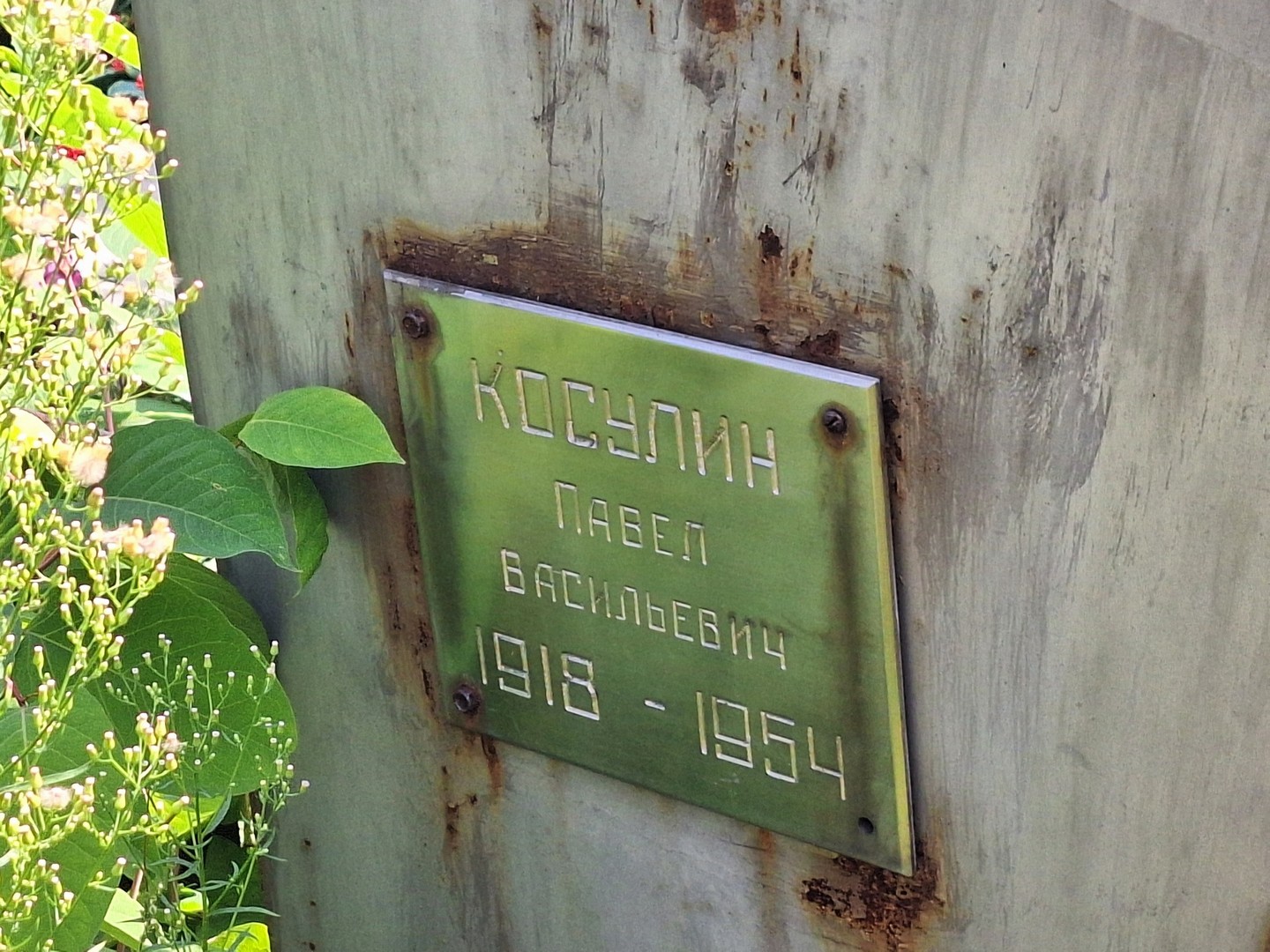 Косулин