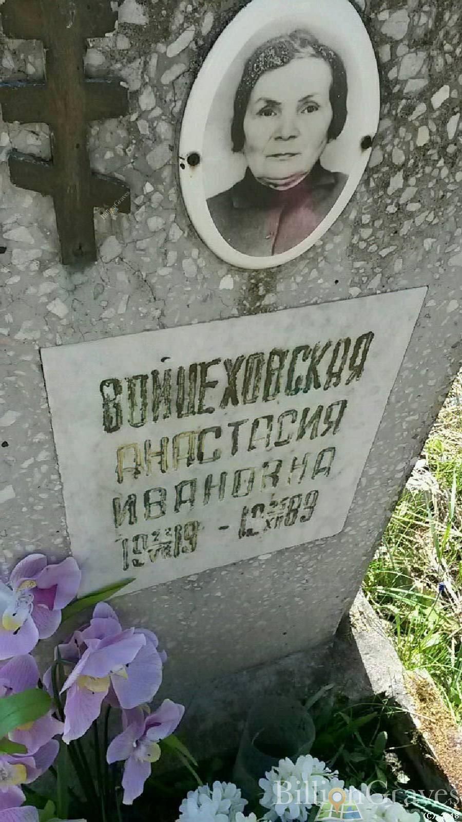 Войцеховская Анастасия Ивановна