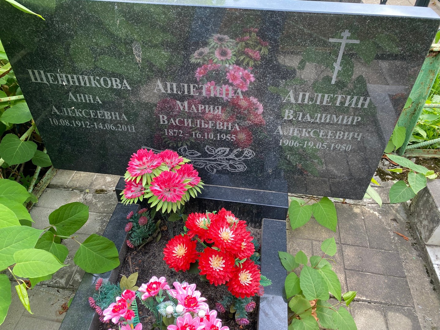 Щенникова