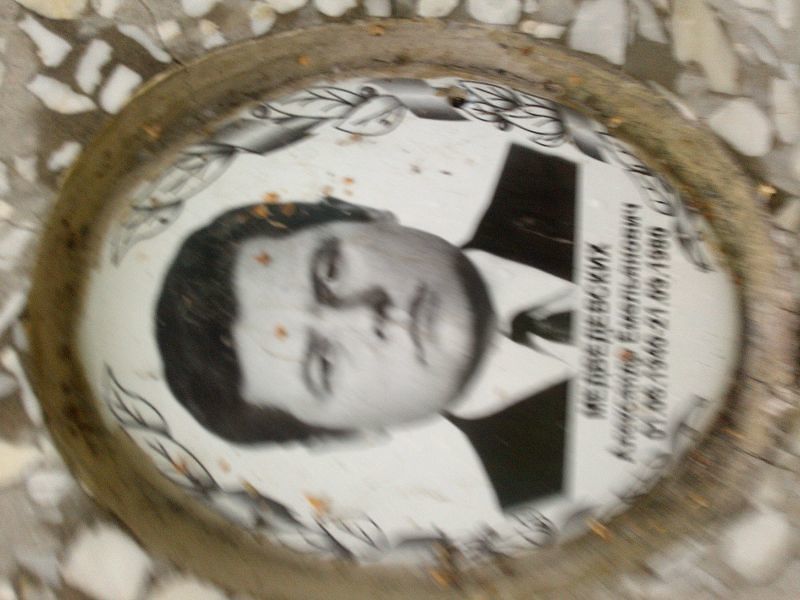 Медведевских