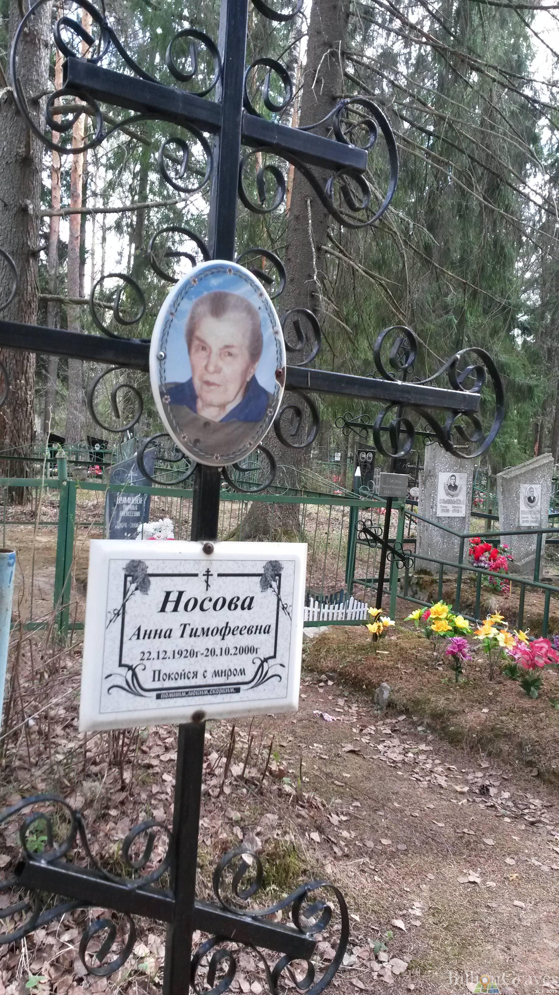 Носова Анна Тимофеевна