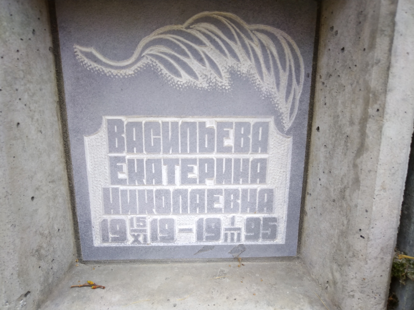 Васильева Екатерина Николаевна
