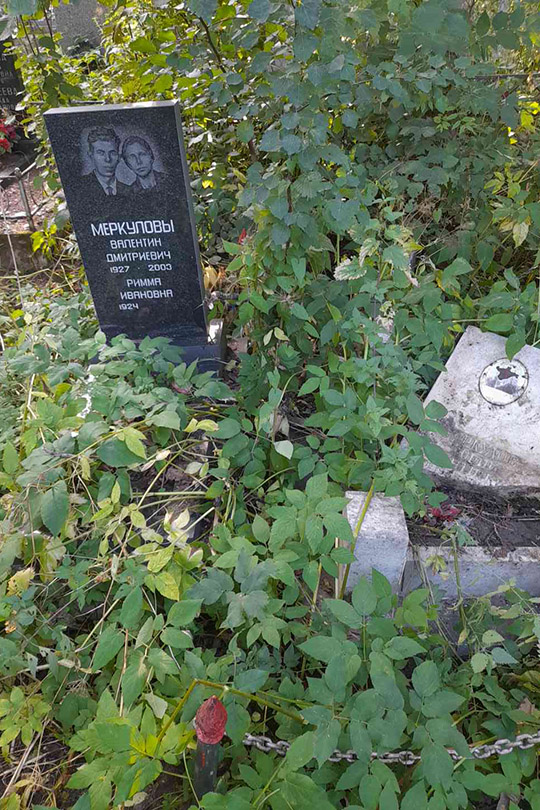 Меркулов Валентин Дмитриевич