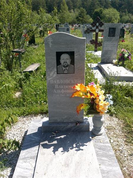 Павловский Владимир Альфонович