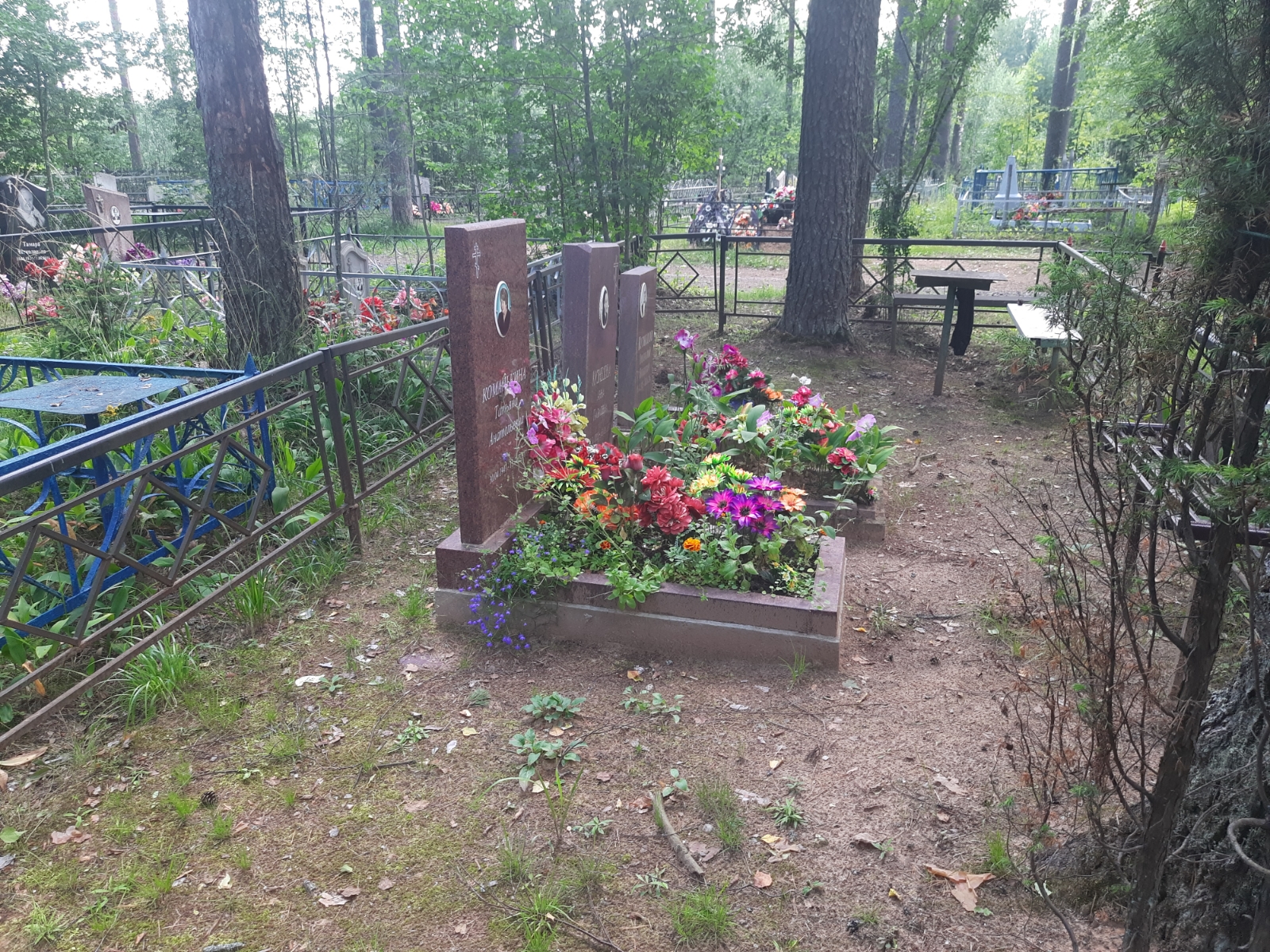 Кузнецов Анатолий Никитич