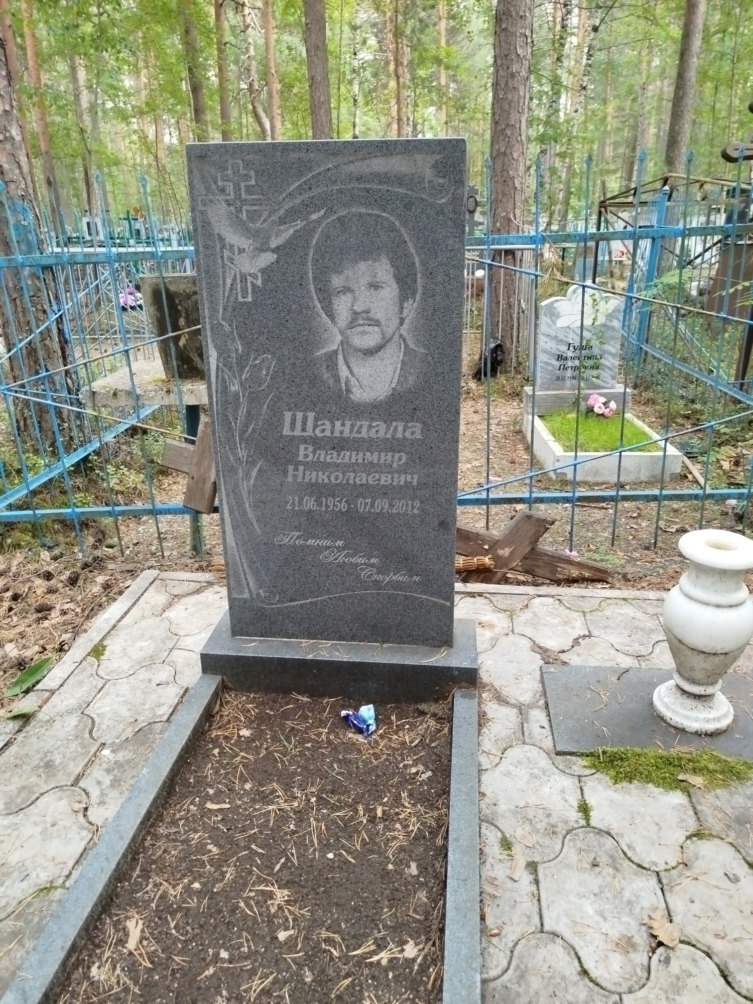 Шандала Владимир Николаевич