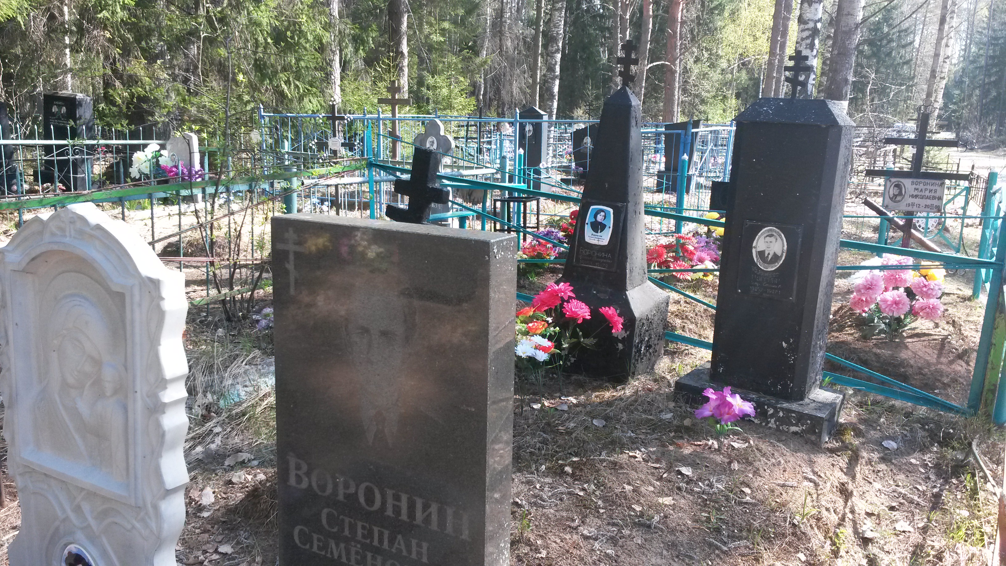 Воронин Владимир Степанович