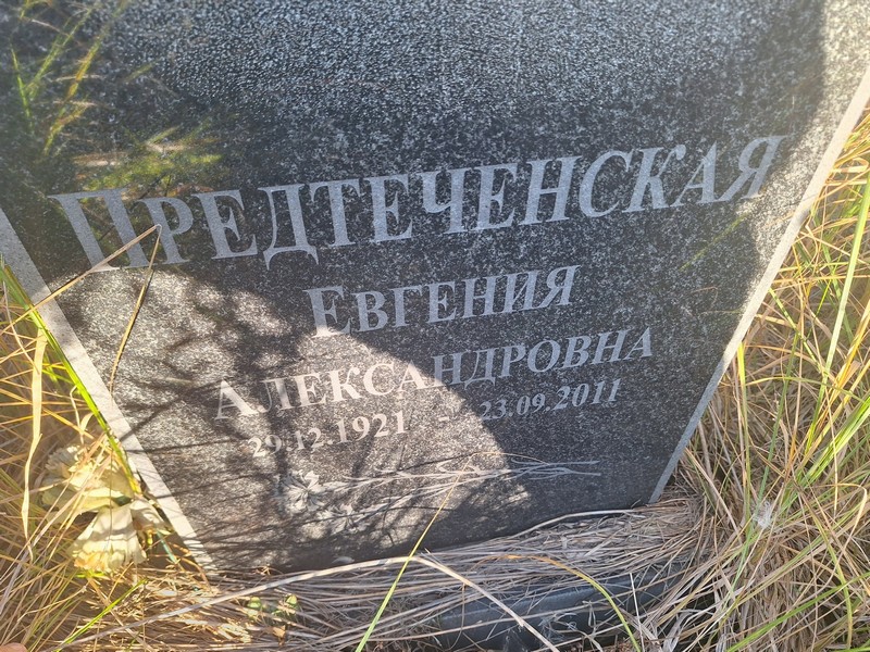 Предтеченская Евгения Александровна
