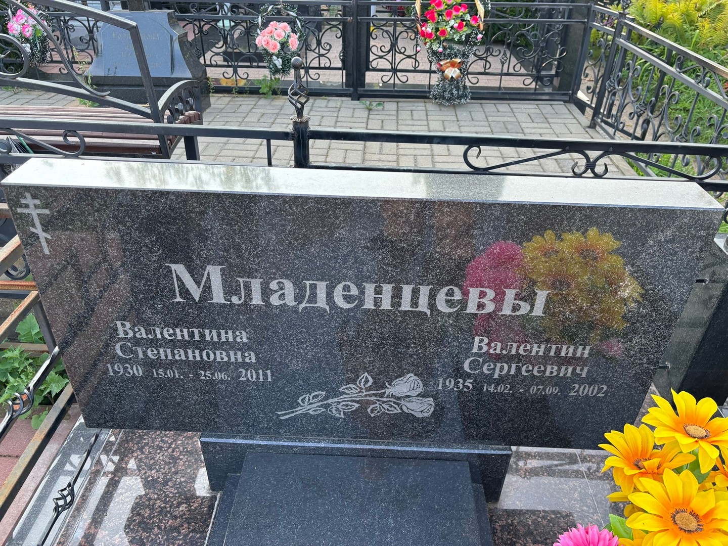 Младенцев